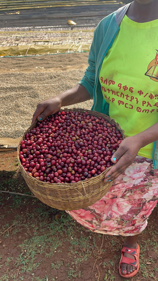 Single Origin Ethiopia: Espresso Roast