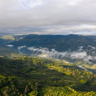 The view over San Antonio where our decaf coffee was grown in Colombia