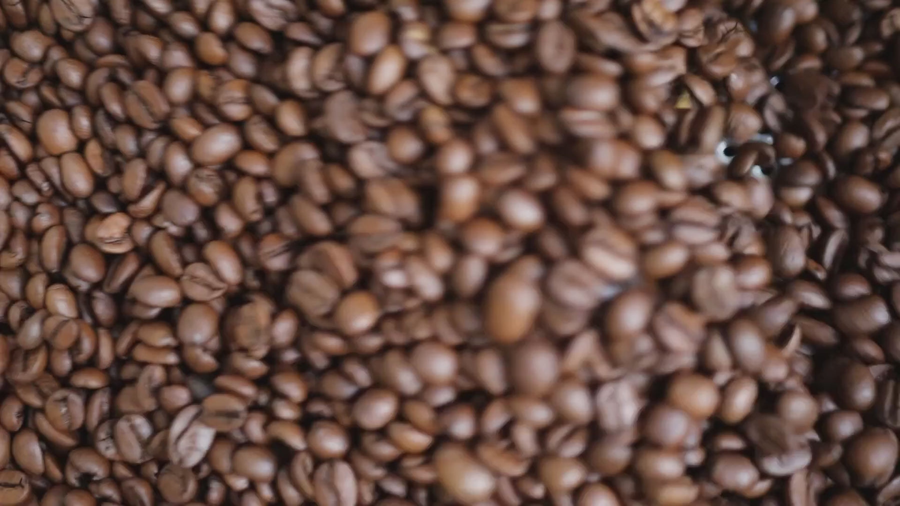 Freshly roasted specialty grade decaf coffee beans